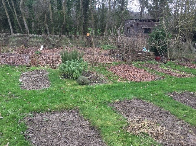 jardins potager musee.jpg jardins potager musee.jpg