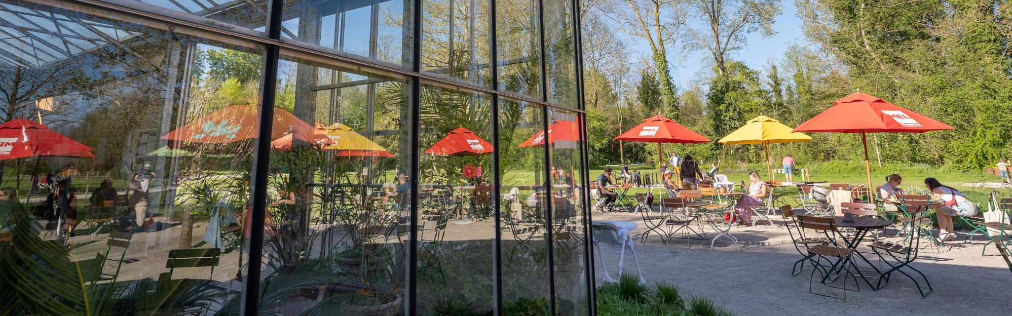Mosaïc, le jardin des cultures recherche un restaurateur pour «La Serre»