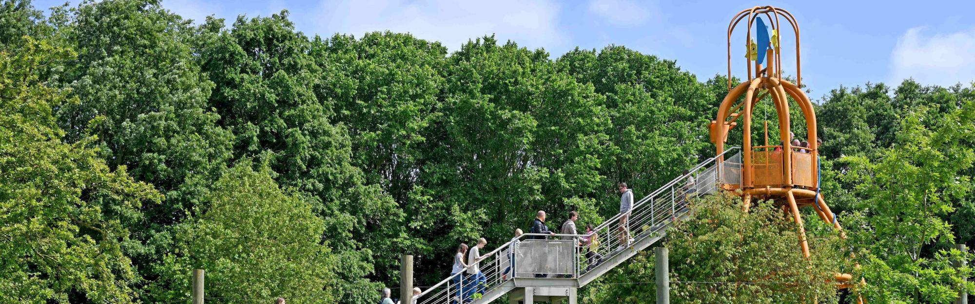 Opération Pollinisation : Mosaïc, le jardin des cultures prend son envol cet été !
