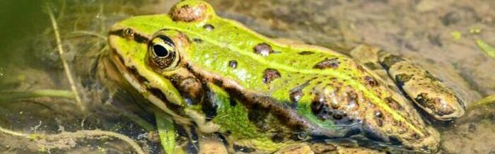 En juillet, 10 nouvelles balades gratuites pour fêter la nature et le début de l’été