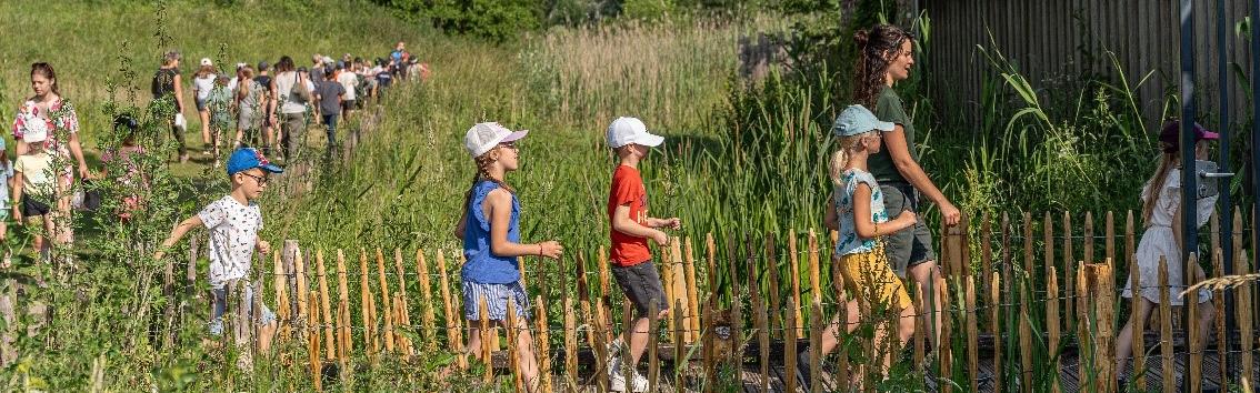 Offre scolaire 2026 : des animations pédagogiques immersives dans les Espaces Naturels de la MEL
