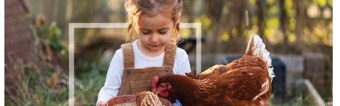 Le Musée de Plein Air organise une journée dédiée au bien-être animal le 2 octobre