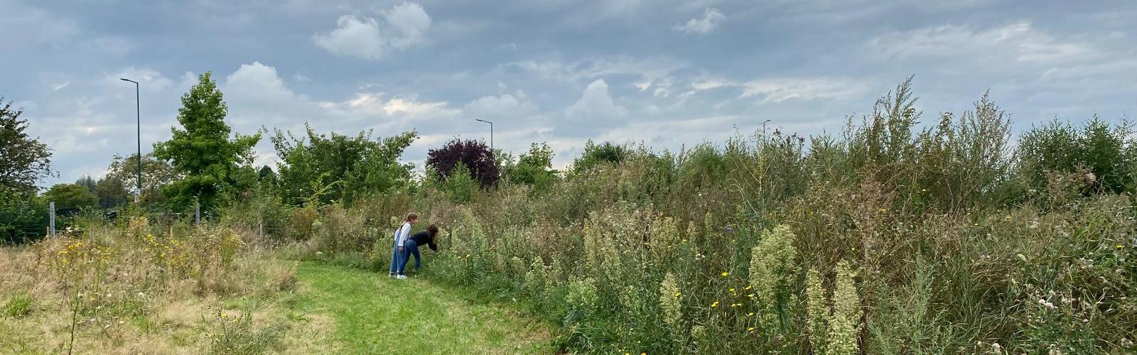 Wambrechies inaugure l’espace de biodiversité du Colombier le samedi 7 septembre