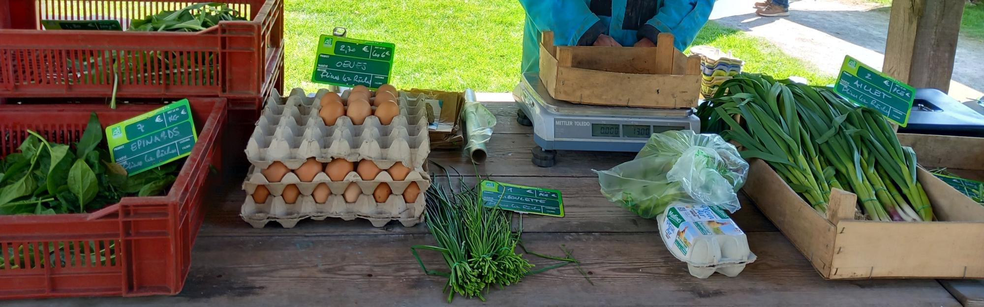 Le marché des producteurs locaux s’installe au Musée, tous les 1er samedi du mois