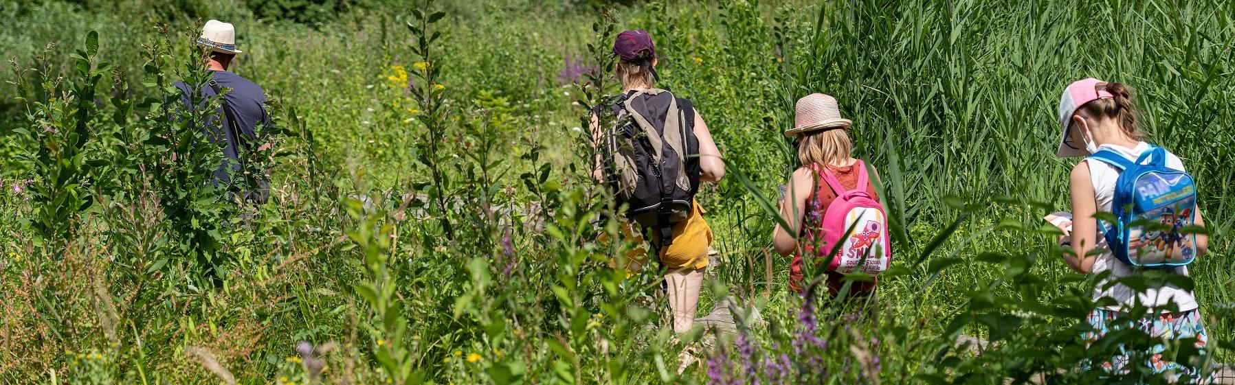 Les dates clefs d'Utopia dans les Espaces Naturels de la MEL