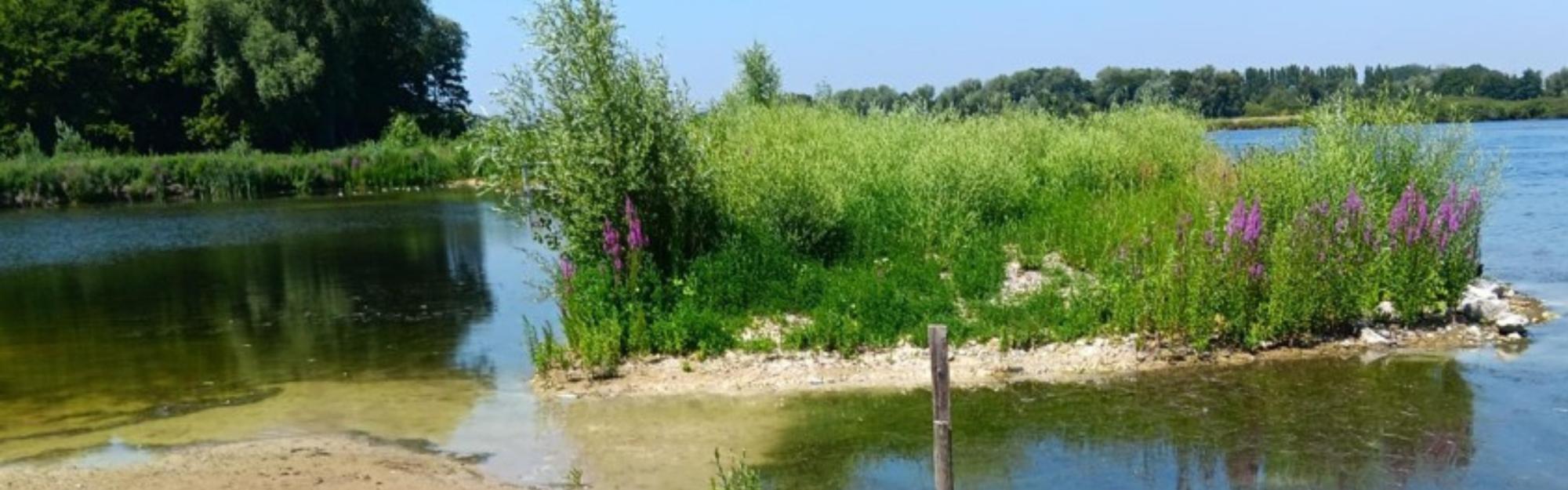 Prés du Hem : ouverture de la baignade reportée