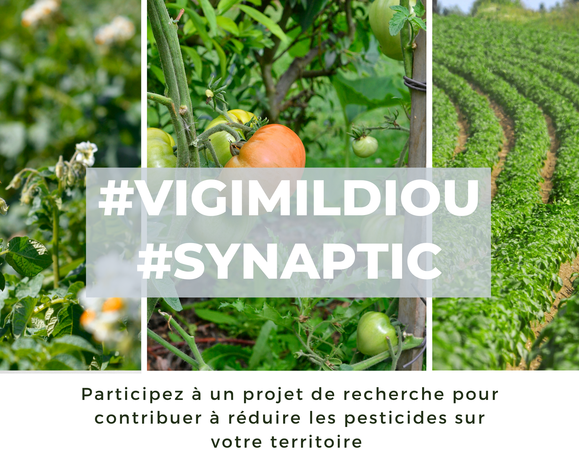 Vous souhaitez contribuer à réduire les pesticides sur le territoire métropolitain ?