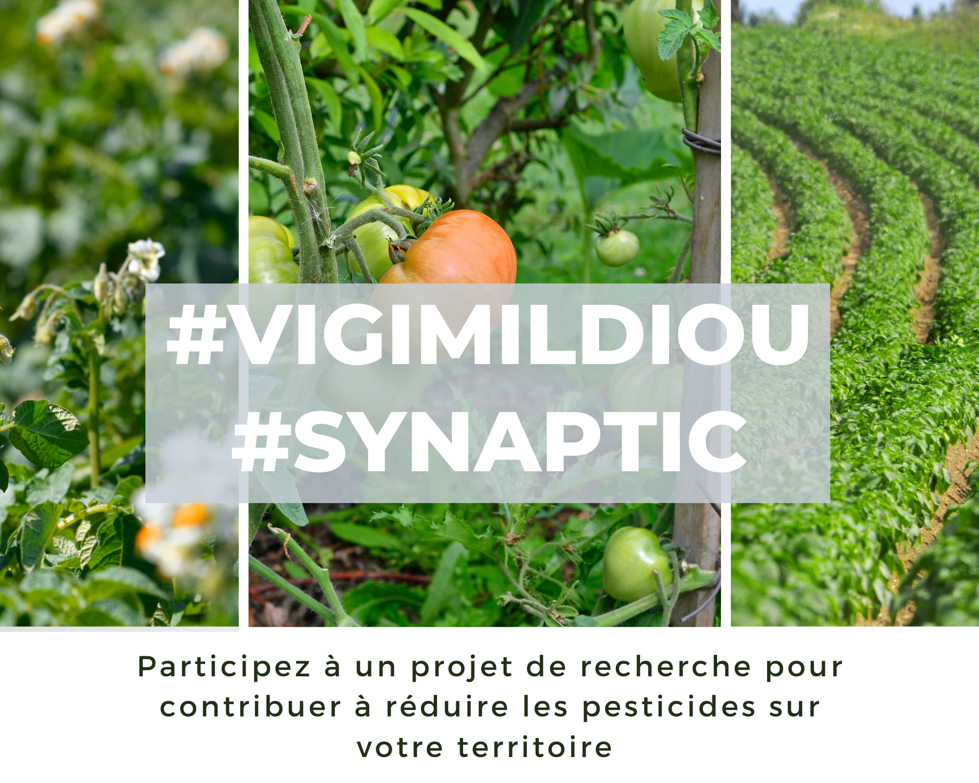 Vous souhaitez contribuer à réduire les pesticides sur le territoire métropolitain ?