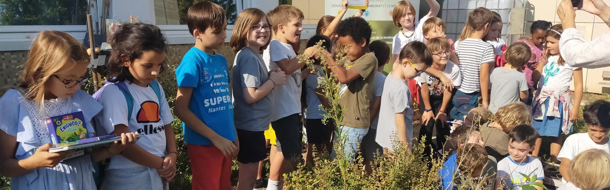 Lancement officiel de la Coupe du potager dans la métropole lilloise le 9 février 2023