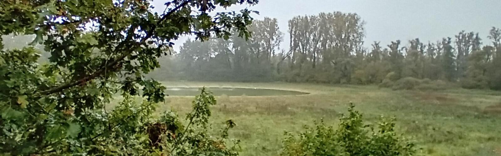 Avec l’inauguration de la zone humide de La Gîte à Santes, la Métropole réaffirme son engagement en faveur de la biodiversité