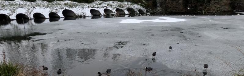 Plans d’eau gelés : attention danger !