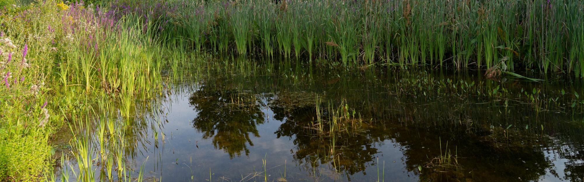 Mercredi 22 mars, c'est la journée mondiale de l’eau