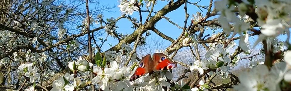 Les Prés du Hem fêtent la reprise de vos activités préférées le 1er mai