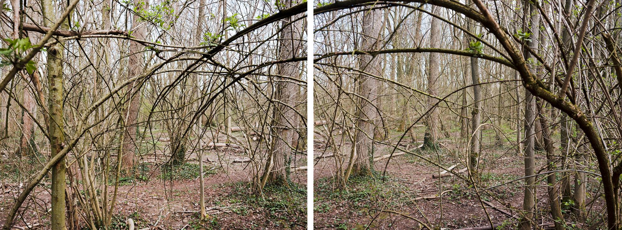Le parc du Héron accueille l’exposition photographique de Frédéric Bellay sur la chaîne des Lacs