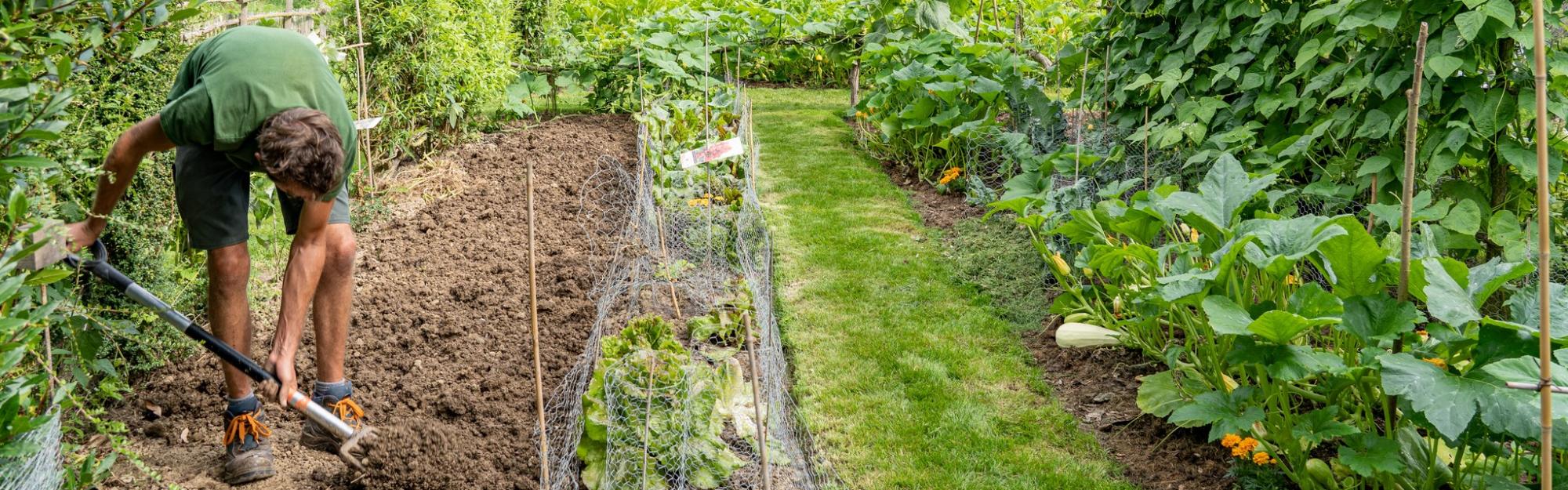 La Coupe de France du potager arrive dans la Métropole Européenne de Lille !