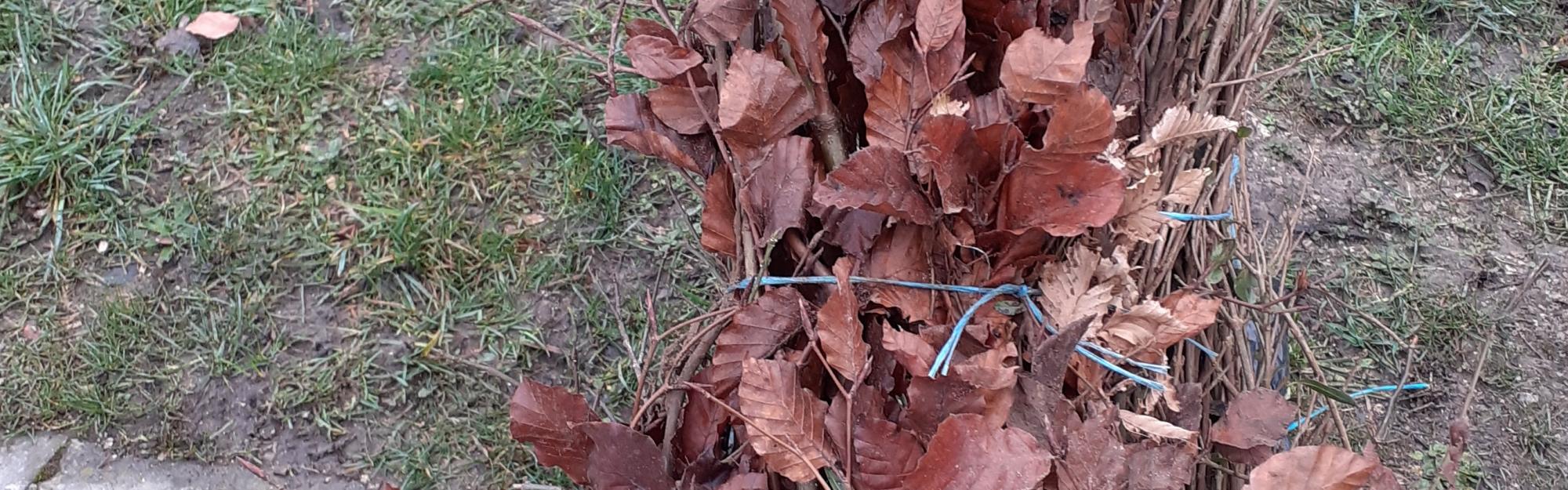 Déposez vos branches et repartez avec du broyat !