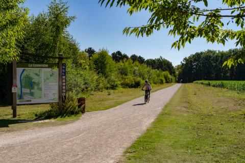 À vélo sur les traces de d’Artagnan, entre nature et histoire