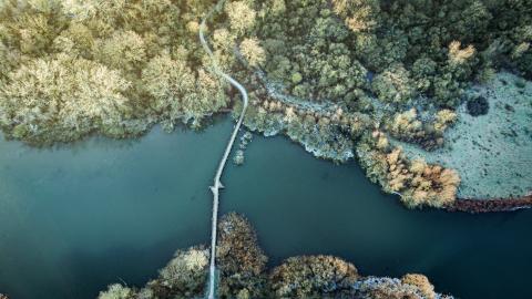 La MEL restaure les passerelles des Marais de Fretin