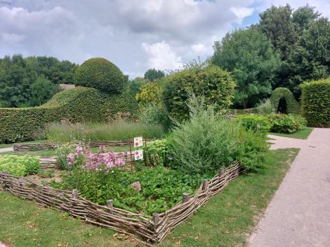 Jardin médicinal
