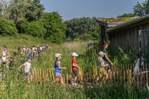 Offre scolaire 2026 : des animations pédagogiques immersives dans les Espaces Naturels de la MEL 