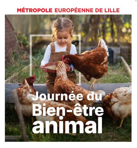 Le Musée de Plein Air organise une journée dédiée au bien-être animal le 2 octobre  