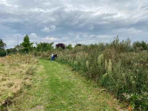 Wambrechies inaugure l’espace de biodiversité du Colombier le samedi 7 septembre