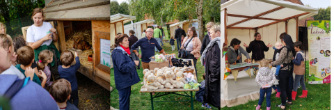 Appel à participation – Journée mondiale des animaux et de leurs soigneurs !