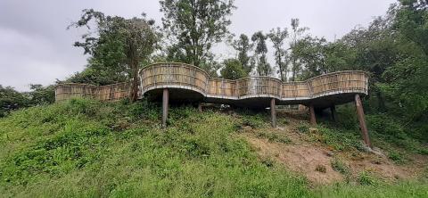 La zone humide sur le site de la Gîte dans le Parc de la Deûle a été restaurée