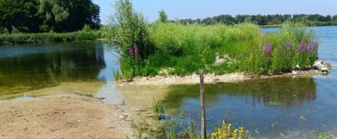 Prés du Hem : ouverture de la baignade reportée