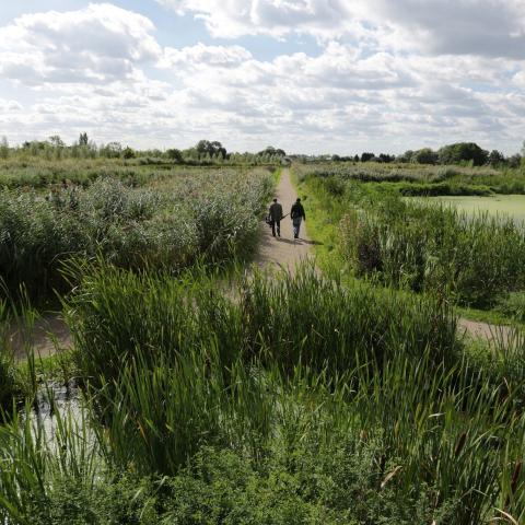 Avec cette météo clémente, profitez des espaces de nature en accès libre autour de chez vous