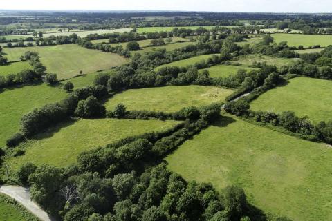 Dans les juMELles : octobre les haies champêtres