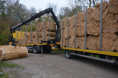 camion roseau camion roseau