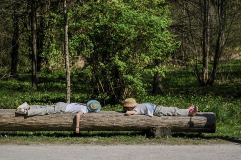 En juillet et août, évadez-vous près de chez vous dans les parcs et relais nature de la MEL