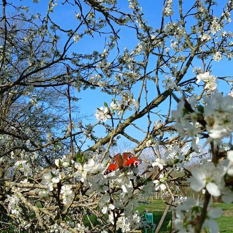 Les Prés du Hem fêtent la reprise de vos activités préférées le 1er mai