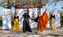 les petits rdv du dimanche