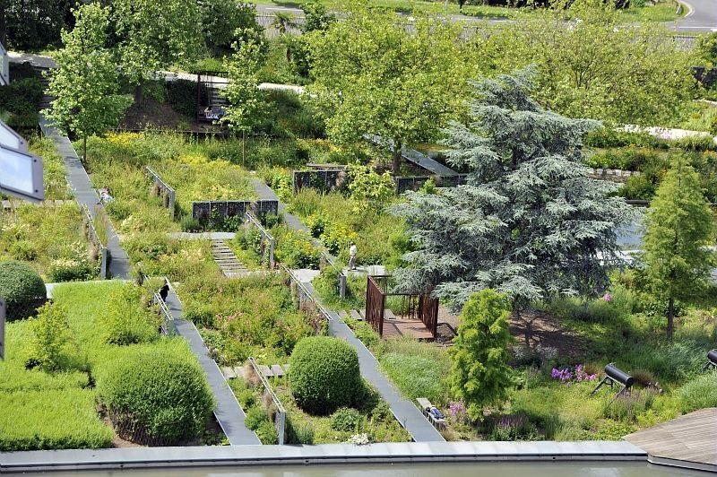 Jardin des géants vue de haut