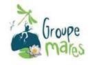 Groupe mares