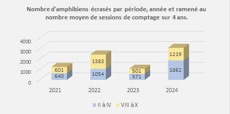 Figure 1_ Nombre d’amphibiens écrasés par période (de février à avril et d’août à octobre) pour chacune des années, ramené au nombre moyen de sessions de comptage par période sur 4 ans.