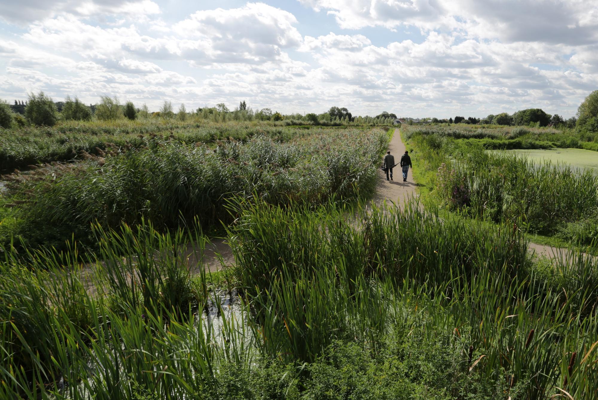 Les bassins filtrants à Leers