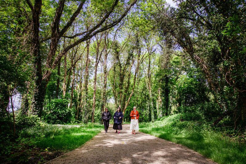 Le Bois Meillassoux à Hem