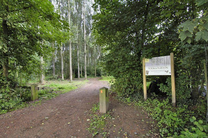 Le Bois de la Noyelle à Sainghin-en-Mélantois