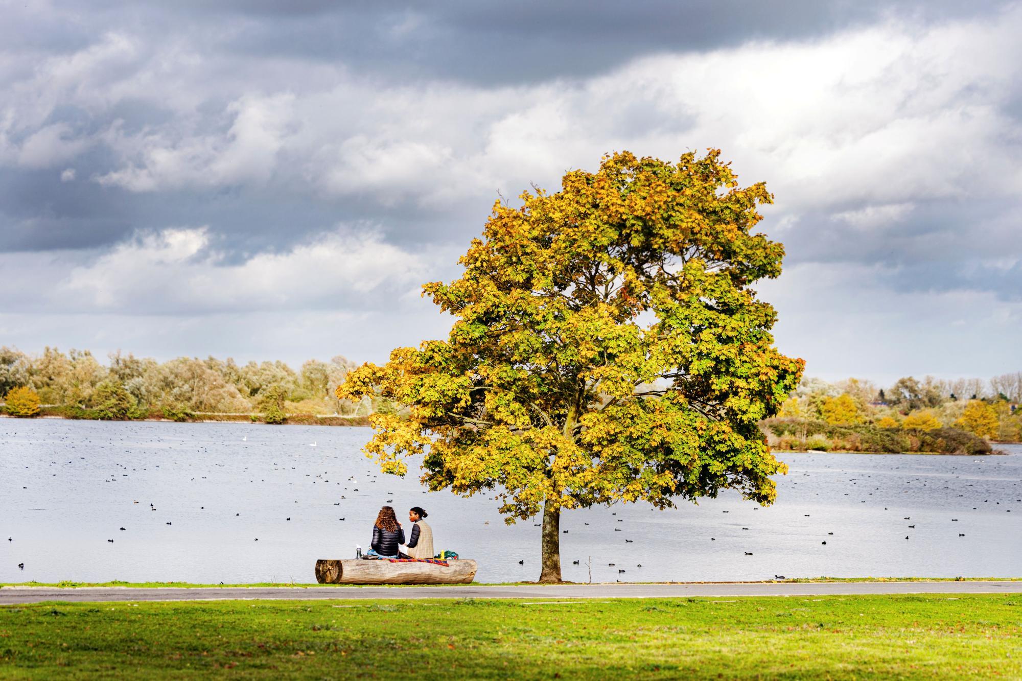 Lac artificiel des Prés du Hem