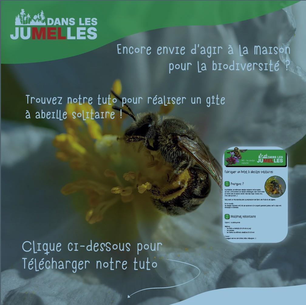 Téléchargez le tuto ici