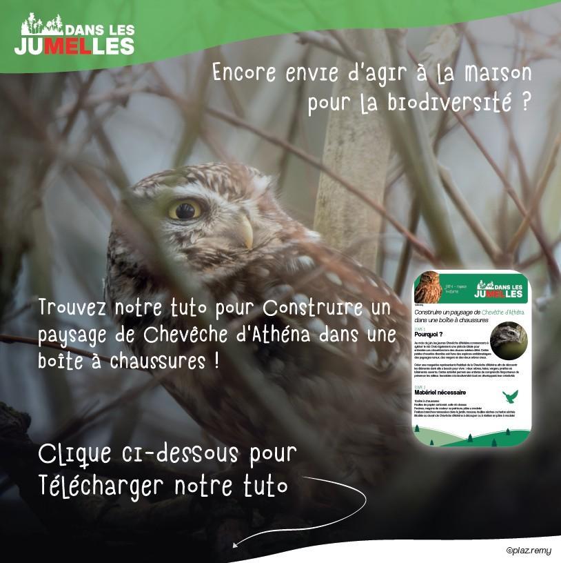 Téléchargez le tuto ici