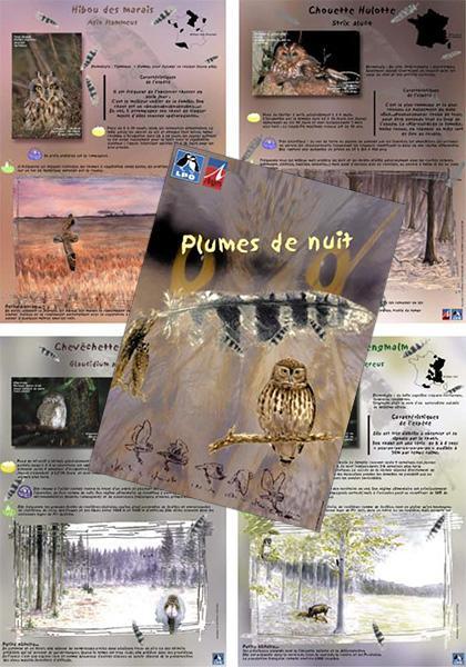 Exposition Plumes de nuit - LPO
