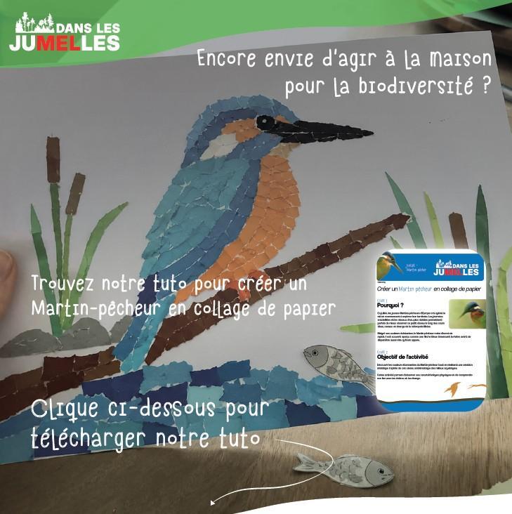 le Martin-pêcheur