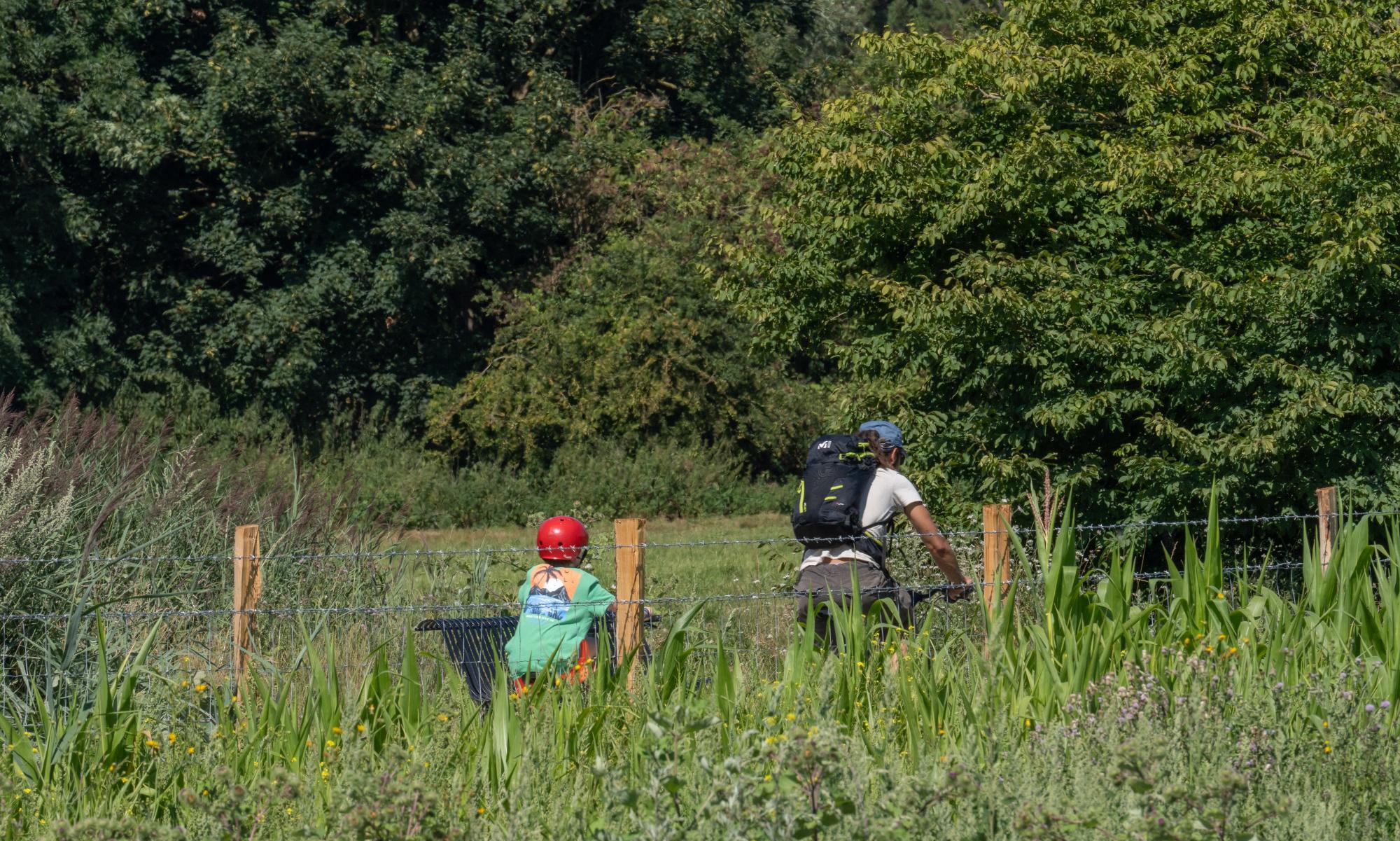 balades à vélo