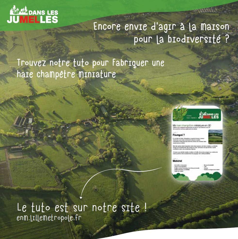 haie 6